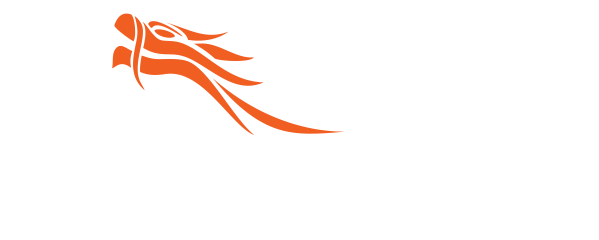 Dragon City Mall Toronto