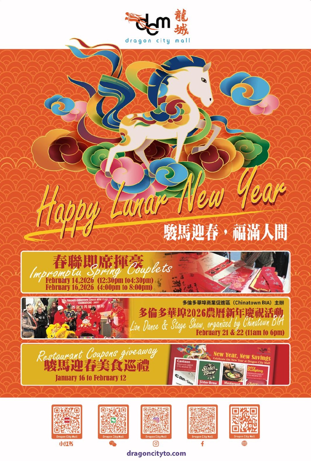 WhatsApp Image 2026-01-21 at 11.16.43