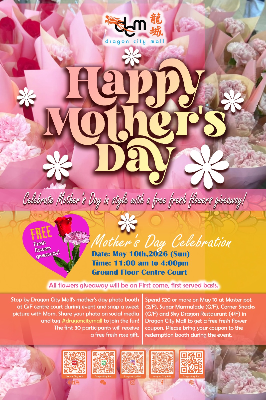 WhatsApp Image 2026-04-09 at 14.50.47